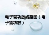 電子管功放線路圖（電子管功放）