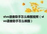 vivo語音助手怎么喚醒視頻（vivo語音助手怎么喚醒）