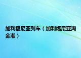 加利福尼亞列車（加利福尼亞淘金潮）