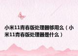 小米11青春版處理器夠用么（小米11青春版處理器是什么）