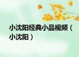 小沈陽經(jīng)典小品視頻（小沈陽）