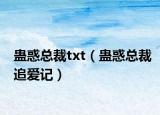 蠱惑總裁txt（蠱惑總裁追愛記）