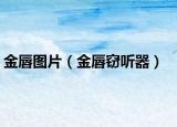 金唇圖片（金唇竊聽(tīng)器）