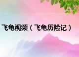 飛龜視頻（飛龜歷險(xiǎn)記）