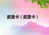 武圣卡（武圣卡）