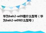 華為bah2-w09是什么型號（華為bah2-w09什么型號）