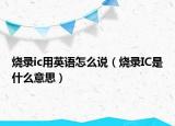 燒錄ic用英語(yǔ)怎么說(shuō)（燒錄IC是什么意思）