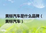 黃標(biāo)汽車是什么品牌（黃標(biāo)汽車）