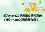華為mate20揚(yáng)聲器突然沒(méi)聲音（華為mate20揚(yáng)聲器在哪）