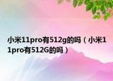 小米11pro有512g的嗎（小米11pro有512G的嗎）