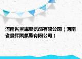 河南省景輝聚氨酯有限公司（河南省景輝聚氨酯有限公司）