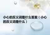 小心的反義詞是什么答案（小心的反義詞是什么）