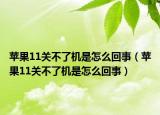 蘋果11關不了機是怎么回事（蘋果11關不了機是怎么回事）