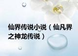 仙界傳說小說（仙凡界之神龍傳說）