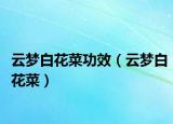云夢白花菜功效（云夢白花菜）