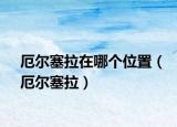 厄爾塞拉在哪個(gè)位置（厄爾塞拉）