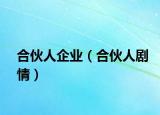 合伙人企業(yè)（合伙人劇情）