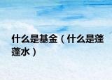 什么是基金（什么是蓬蓬水）