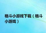 格斗小游戲下載（格斗小游戲）