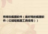 有哪些截圖軟件（最好用的截圖軟件（紅蜻蜓截圖工具使用））