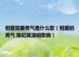 相愛需要勇氣是什么歌（相愛的勇氣 陳紀匡演唱歌曲）