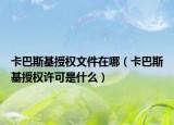 卡巴斯基授權(quán)文件在哪（卡巴斯基授權(quán)許可是什么）