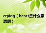 crying（heart是什么意思?。? /></span></a>
                        <h2><a href=