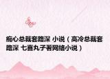 癡心總裁套路深 小說（高冷總裁套路深 七喜丸子著網絡小說）