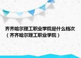 齊齊哈爾理工職業(yè)學(xué)院是什么檔次（齊齊哈爾理工職業(yè)學(xué)院）