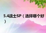 5.4戰(zhàn)士SP（選擇哪個(gè)好）