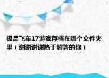 極品飛車17游戲存檔在哪個文件夾里（謝謝謝謝熱于解答的你）