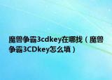 魔獸爭(zhēng)霸3cdkey在哪找（魔獸爭(zhēng)霸3CDkey怎么填）