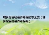 城鄉(xiāng)居民社會養(yǎng)老保險怎么交（城鄉(xiāng)居民社會養(yǎng)老保險）