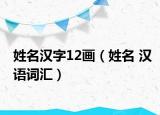 姓名漢字12畫(huà)（姓名 漢語(yǔ)詞匯）