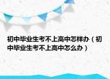 初中畢業(yè)生考不上高中怎樣辦（初中畢業(yè)生考不上高中怎么辦）