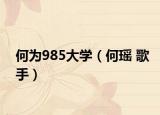 何為985大學(xué)（何瑤 歌手）