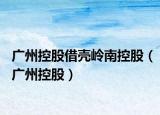 廣州控股借殼嶺南控股（廣州控股）