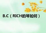 B.C（RICH的琴如何）
