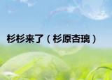 杉杉來了（杉原杏璃）