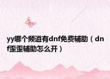 yy哪個頻道有dnf免費輔助（dnf歪歪輔助怎么開）