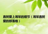 直樹愛上湘琴的細節(jié)（湘琴直樹愛的部落格）