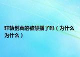 軒轅劍真的被禁播了嗎（為什么 為什么）