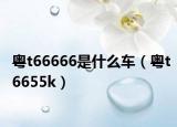 粵t66666是什么車(chē)（粵t6655k）