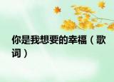 你是我想要的幸福（歌詞）