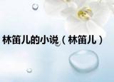林笛兒的小說(shuō)（林笛兒）