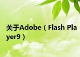 關(guān)于Adobe（Flash Player9）