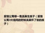 愛(ài)情公寓哪一集美嘉生孩子（愛(ài)情公寓3大結(jié)局的時(shí)候美嘉懷了誰(shuí)的孩子）