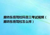 廊坊東岳駕?？颇咳荚囈曨l（廊坊東岳駕校怎么樣）