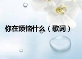 你在煩惱什么（歌詞）