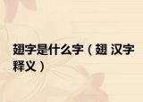 翅字是什么字（翅 漢字釋義）